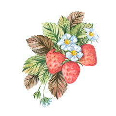 Delicate, delicate watercolor composition with strawberries, leaves and flowers. Hand-drawn. Ideal for menu design, themed invitations, packaging