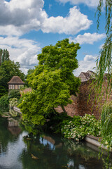 Fototapeta premium France, Europe: view of La Petite Venise (Little Venice), neighborhood of the medieval old town of Colmar, in Alsace, with canals on River Lauch and colorful half timbered houses