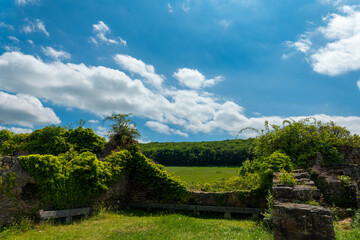 Exploring ancient ruins cloaked in verdant overgrowth beneath a vibrant blue sky