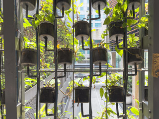 Vertical garden with hanging planters showcasing lush greenery in an urban setting with copy space
