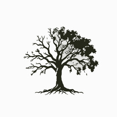Silhouette of a tree with half foliage and exposed branches on white background