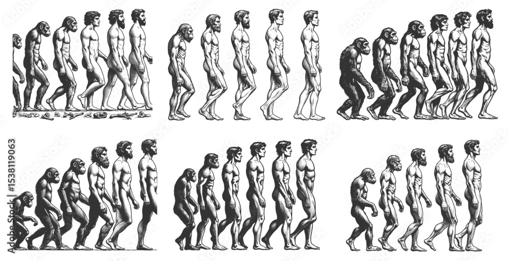 Poster evolutionary sequences showing the progression from primates to modern humans set collection bundle 