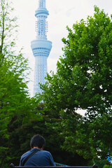 スカイツリーの見える公園