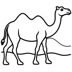 Fototapeta premium Two-Humped Camel Walking in Desert Outline Style