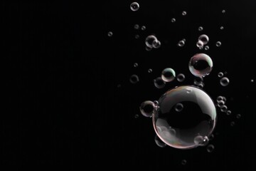 Soap bubbles isolated on a black background. Copy space.