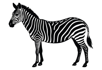 Fototapeta premium Zebra Silhouette Vector Illustration Wildlife Zebras Outline Vector Art Silhouette of Wild Animal