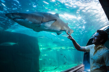 Fototapeta premium Man smiling and pointing at sand tiger shark in aquarium through glass panel near rocky outcrop