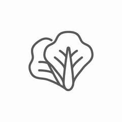lettuce salad icon sign vector