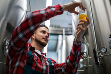 Man standing in brewery room holding clear beer sample glass near pressure gauge and steel tanks
