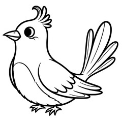 Cute Bird Vector Drawing
