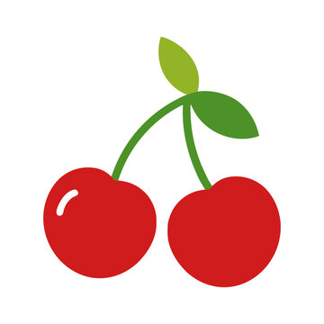 cherry vector illustration