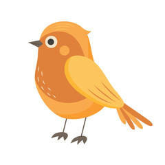 Robin bird. National bird of Great Britain. Vector illustration isolated on white background