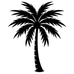 Obraz premium silhouette of palm tree