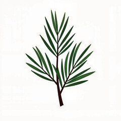 Naklejka premium Isolated fallen pine needle cluster on white background, nature's beauty