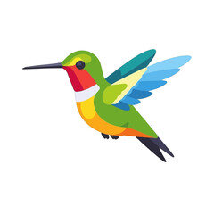 Obraz premium Colorful Hummingbird Illustration Flying Bird Vector Graphic Design