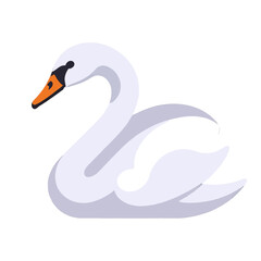 Fototapeta premium Elegant Swan Swimming Gracefully in Water