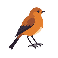 Obraz premium Orange Bird Illustration Flat Design Vector Graphic