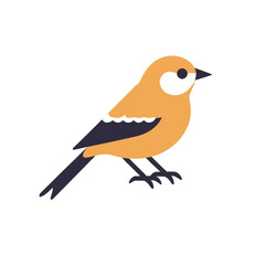 Obraz premium Yellow Bird Illustration Flat Design Vector Graphic