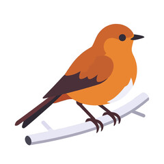 Orange Bird Perched On Branch Illustration