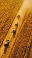 Aerial View of Combine Harvesters in a Wheat Field