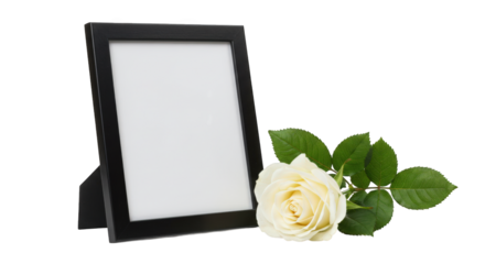 A black picture frame with a white rose isolated on transparent background