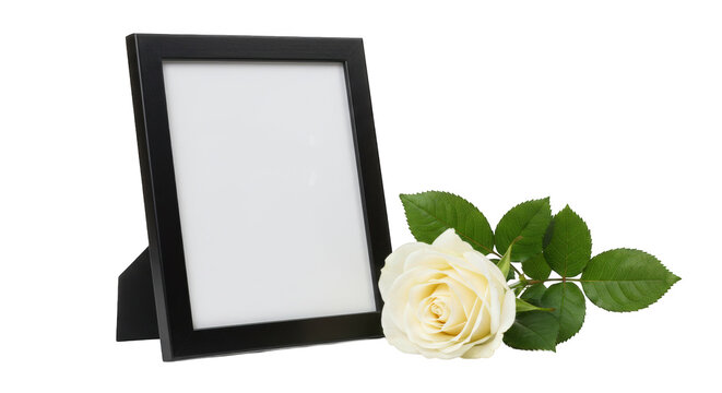 A black picture frame with a white rose isolated on transparent background - Powered by Adobe