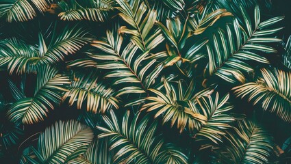 Tropical Foliage Texture Background, Stripes Of Leaf Are Shaped Like Tiny Spikes. With Empty Copy Space For Text