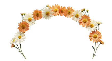 Arch of orange and white daisies isolated on transparent background