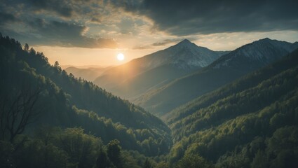 Panorama of forest and mountain with sun and empty space for text
