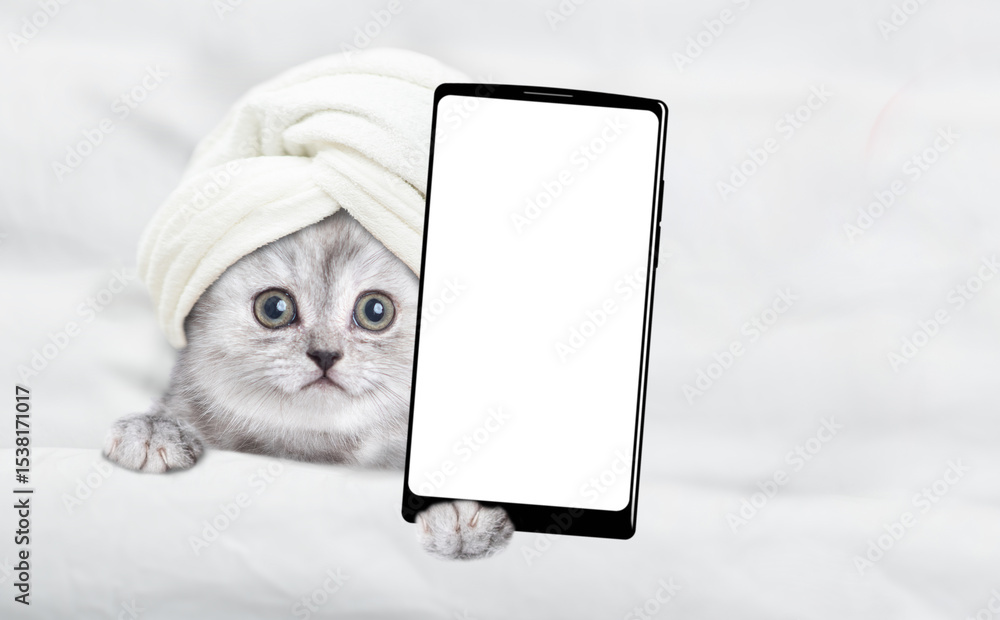 Poster Cute kitten with towel on it head lying on a bed at home and showing big smartphone with white blank screen in it paw. Top down view. Empty space for text