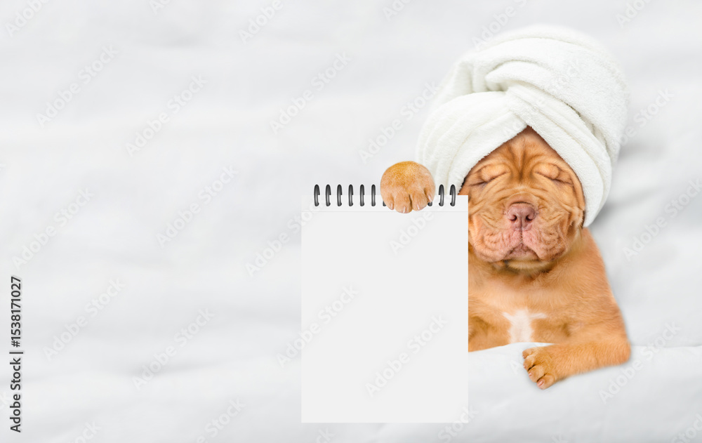 Aufkleber Funny Mastiff puppy with towel on it head relaxing on the bed at home and showing blank notepad. Top down view. Empty space for text