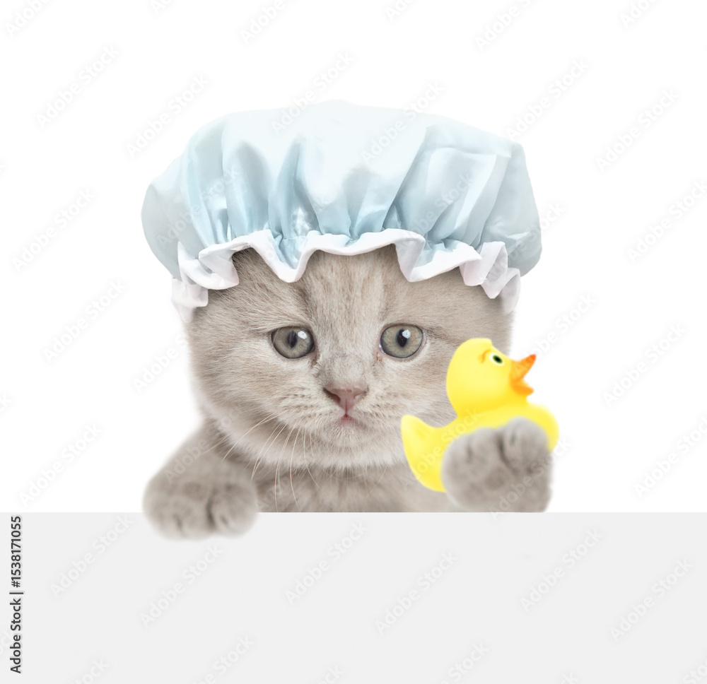 Poster cute tiny kitten with shower cap on it head looks above blank white banner and shows rubber duck. is