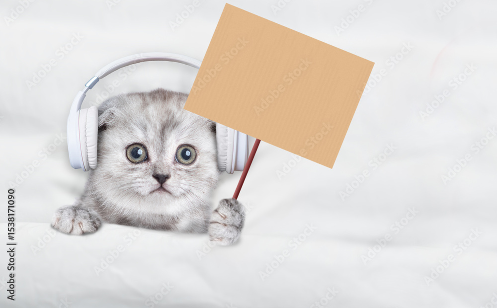 Poster tiny kitten wearing headphones listening music on a bed at home and showing cardboard on wooden stic