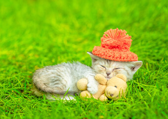 Obraz na płótnie Canvas Cute kitten wearing warm hat hugs favorite toy bear and sleeps on green summer grass
