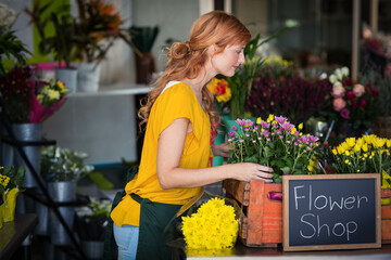 Florist arranging colorful chrysanthemums and daisies on wooden counter inside flower shop