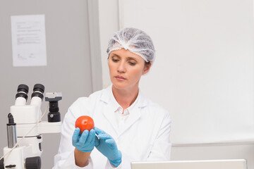 Female scientist wearing lab coat and gloves testing tomato at lab bench with microscope and laptop