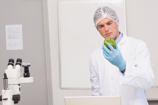 Male scientist in lab coat inspecting green bell pepper on lab bench with microscope, copy space