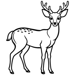 Fototapeta premium Whitetail Deer Standing Tall with Pointed Ears in Outline