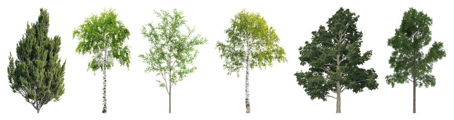 Obraz premium PNG Diverse trees isolated background, element set on transparent background