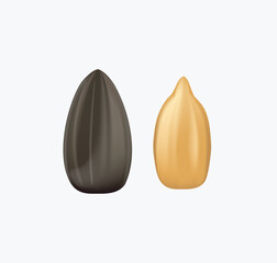 Sunflower seeds 3D render realistic vector illustration isolated on white background. Closed and open sunflower seed. Selection for cereal and snacks. Package design element