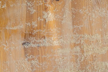 Holzstaub, Sägespäne auf einem Holztisch, Textur Hintergrund 