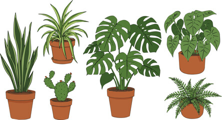 Create a kinds of deferent Diverse indoor potted plant collection, element set on vector art with white background.