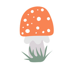 Amanita. Hand drawn poisonous mushroom fly agaric. Vector illustration