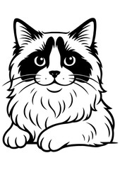 Black and white vector of cute Ragdoll cat portrait. Ideal for engraving, logo, print, pet projects, coloring book, and creative design