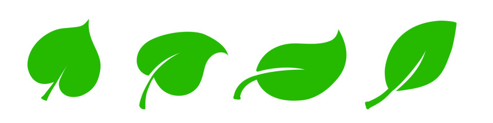 Fototapeta premium set of green leaf icons – eco, bio labels – vector illustration