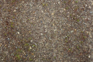 Waldweg in Draufsicht, Boden Textur Hintergrund 