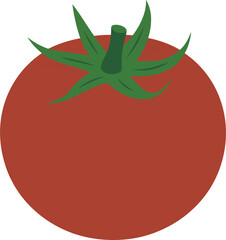Flat Tomato Illustration.