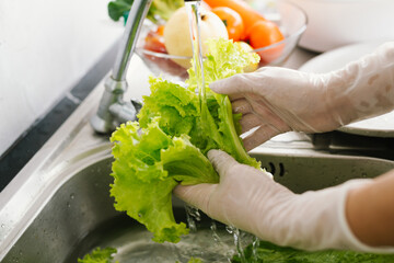 Woman washing fresh vegetables at kitchen sink, practicing hygiene and food safety indoors to...