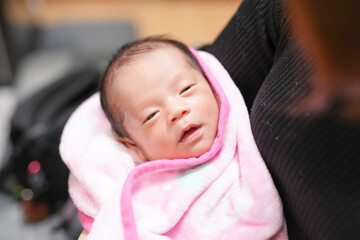 A half-month-old Japanese newborn is wrapped in a pink blanket and held in the loving arms of both parents, surrounded by warmth, comfort, and soft spring light gently streaming through the window.