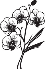 Elegant Black and White Orchid Illustration
Vintage Botanical Orchid Line Art
Monochrome Floral Tattoo Design – Orchid Bloom